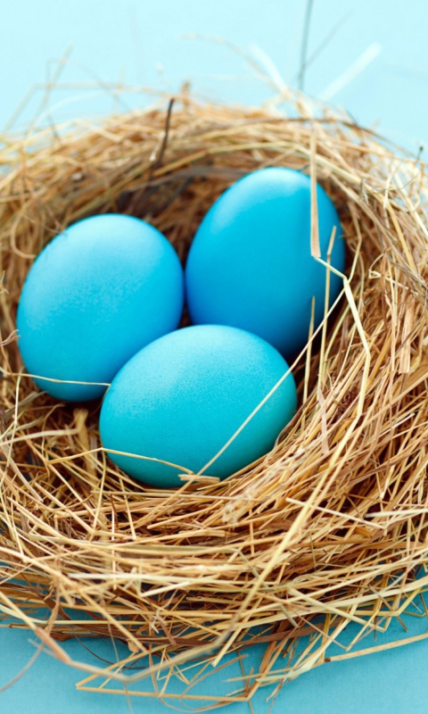 Обои Blue Easter Eggs 480x800
