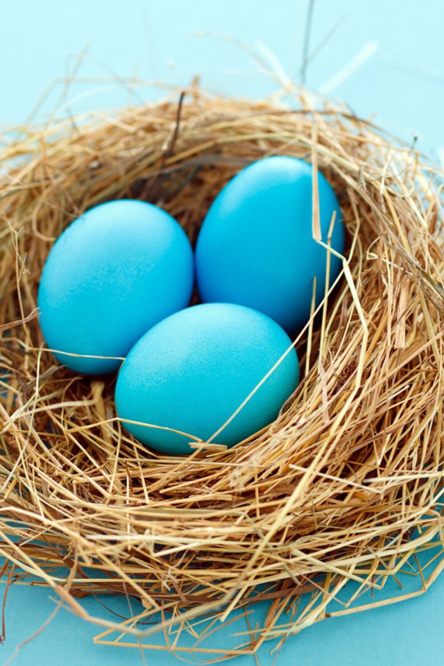 Обои Blue Easter Eggs 640x960