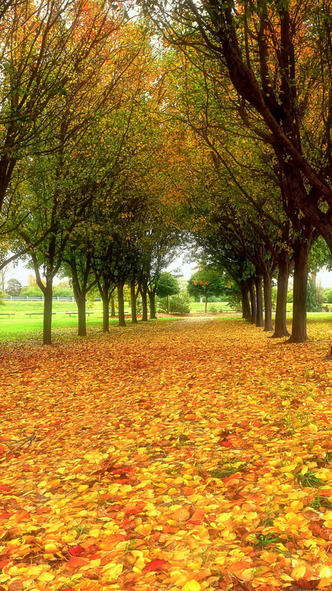 Autumn quiet park wallpaper 1080x1920