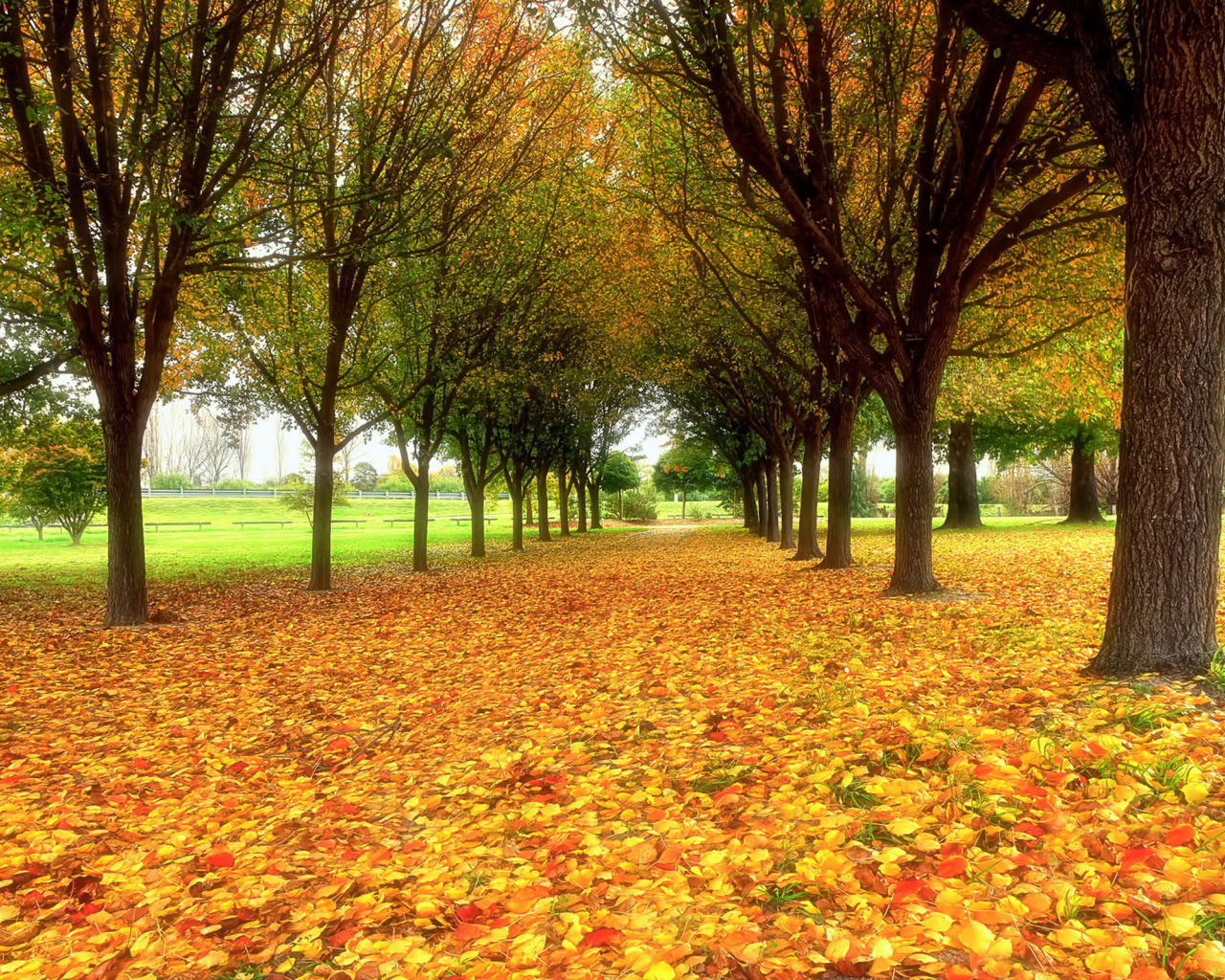 Autumn quiet park wallpaper 1280x1024