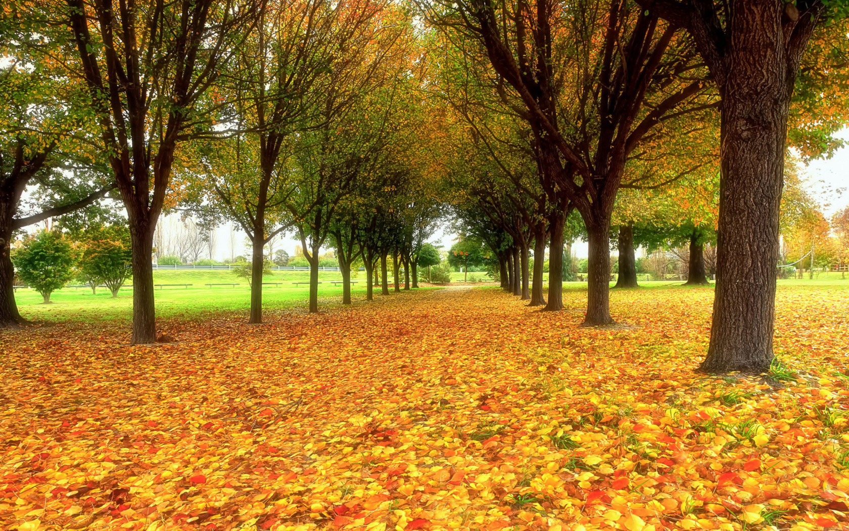 Autumn quiet park wallpaper 1680x1050