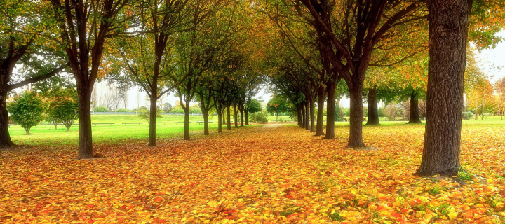 Autumn quiet park screenshot #1 720x320