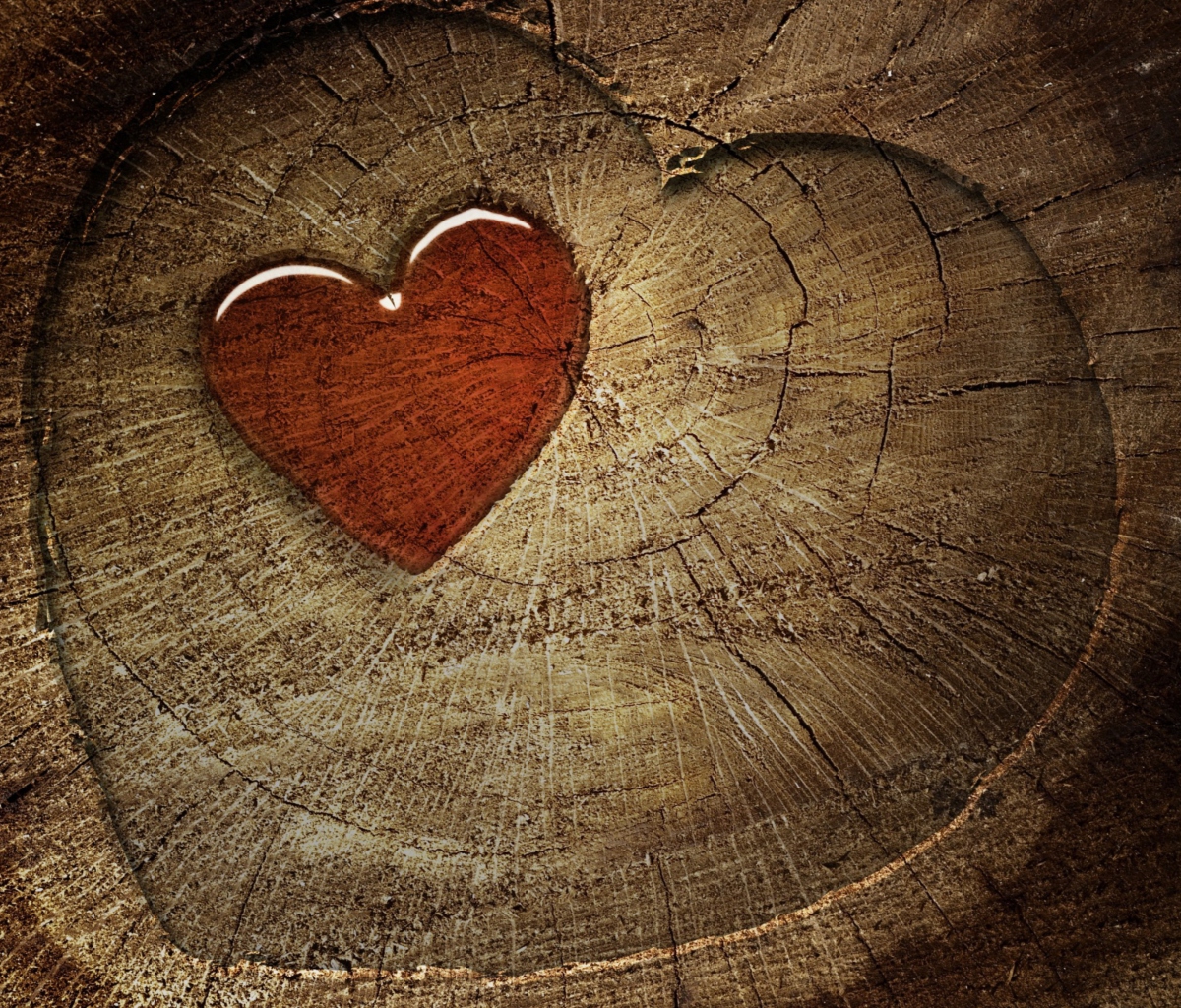 Обои Wooden Heart 1200x1024