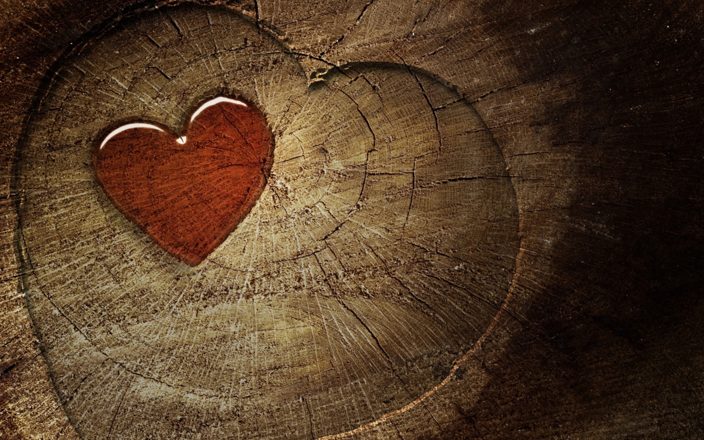 Das Wooden Heart Wallpaper 1440x900