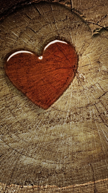 Wooden Heart wallpaper 360x640