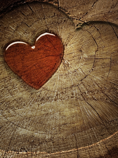 Wooden Heart screenshot #1 480x640