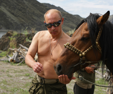 Обои Vladimir Putin Best President 480x400