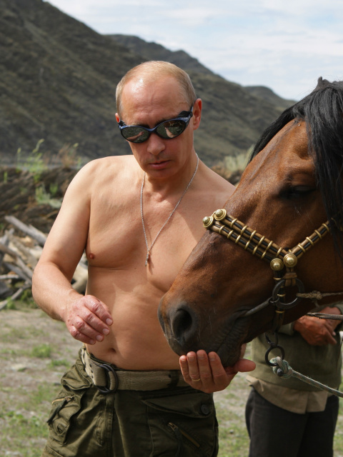Vladimir Putin Best President screenshot #1 480x640
