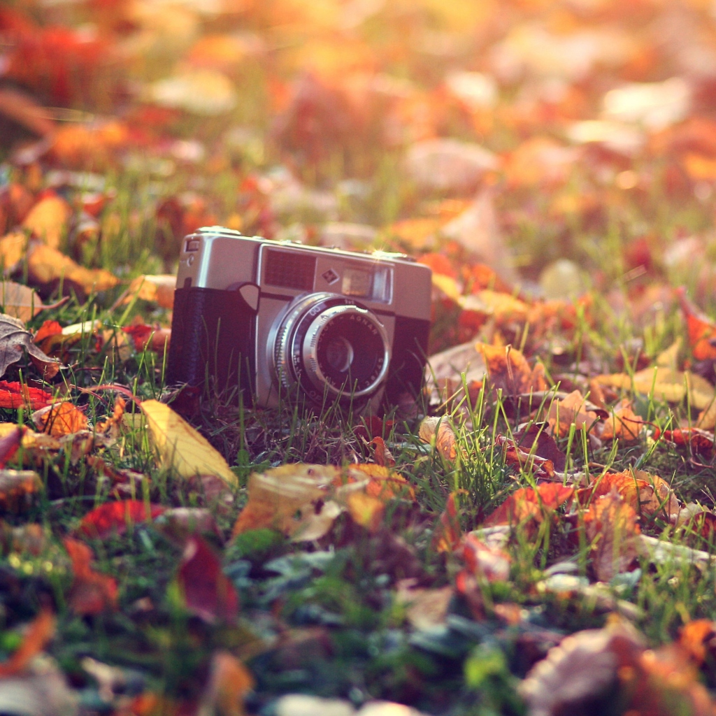 Das Old Camera On Green Grass And Autumn Leaves Wallpaper 1024x1024