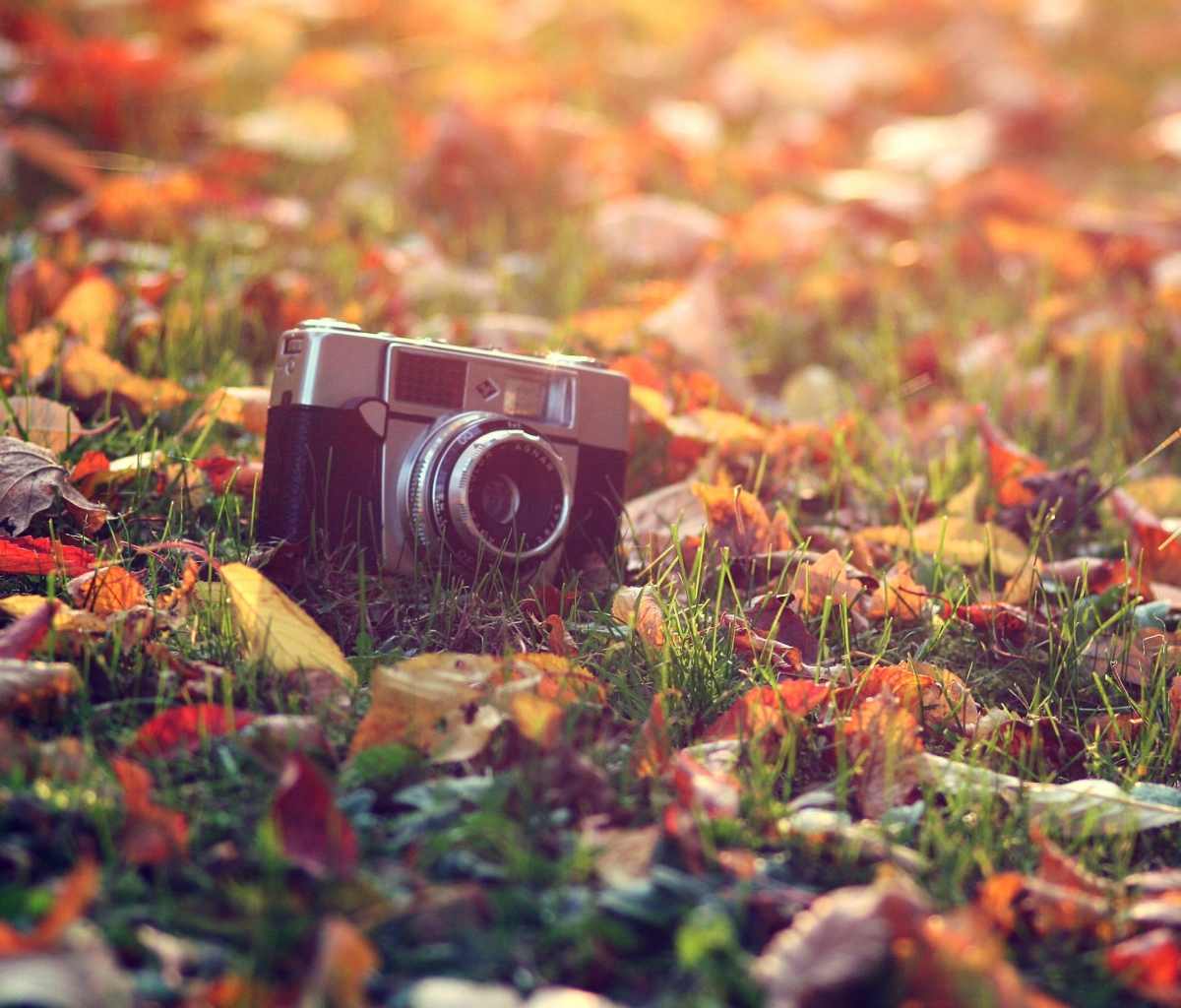 Old Camera On Green Grass And Autumn Leaves screenshot #1 1200x1024