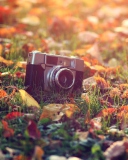 Old Camera On Green Grass And Autumn Leaves wallpaper 128x160