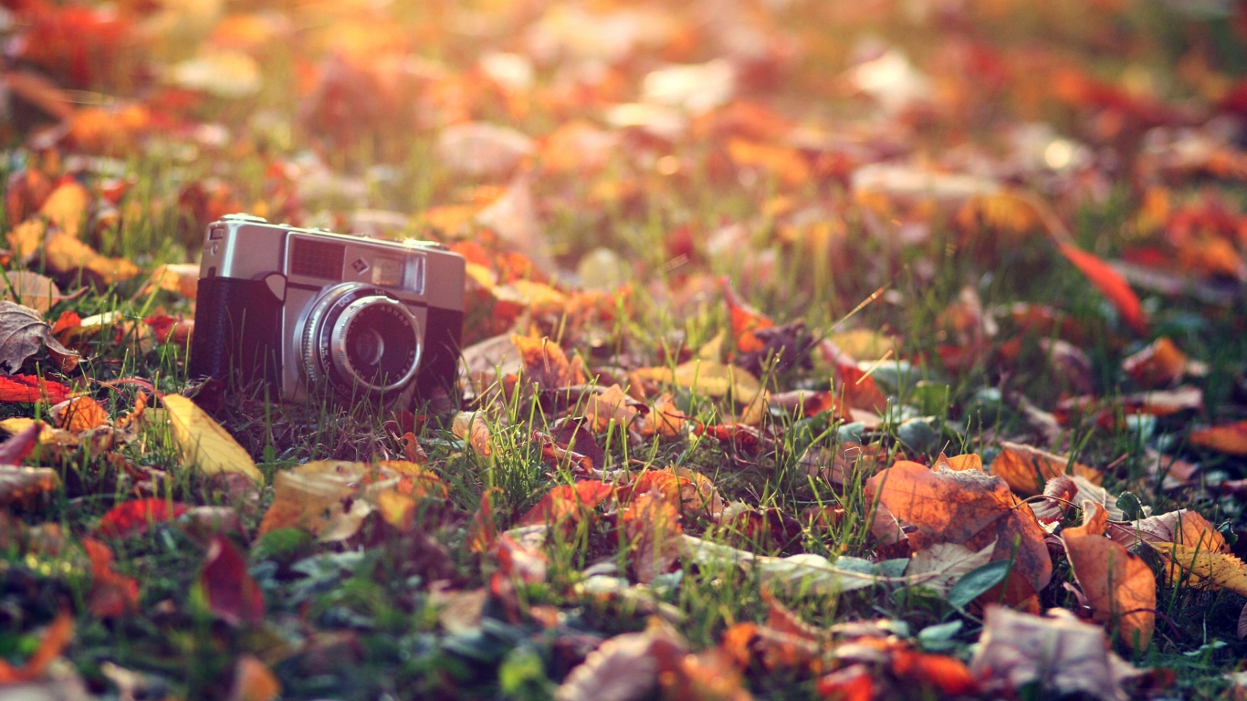 Sfondi Old Camera On Green Grass And Autumn Leaves 1366x768