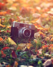 Old Camera On Green Grass And Autumn Leaves wallpaper 176x220