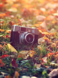 Fondo de pantalla Old Camera On Green Grass And Autumn Leaves 240x320