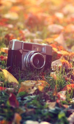 Das Old Camera On Green Grass And Autumn Leaves Wallpaper 240x400