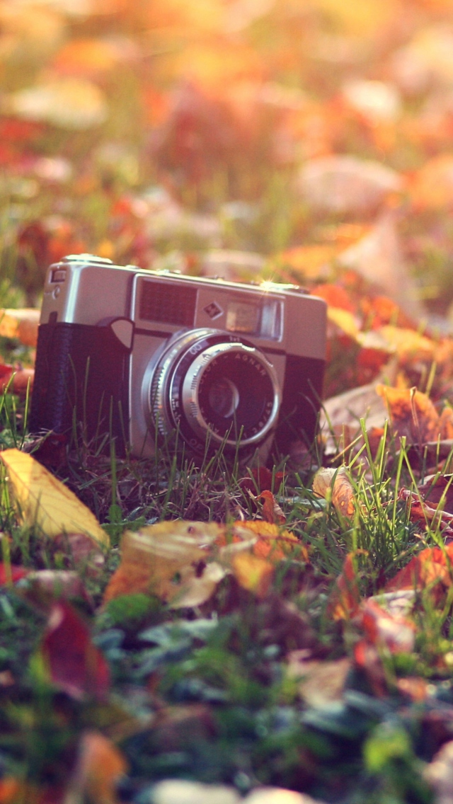 Old Camera On Green Grass And Autumn Leaves screenshot #1 640x1136