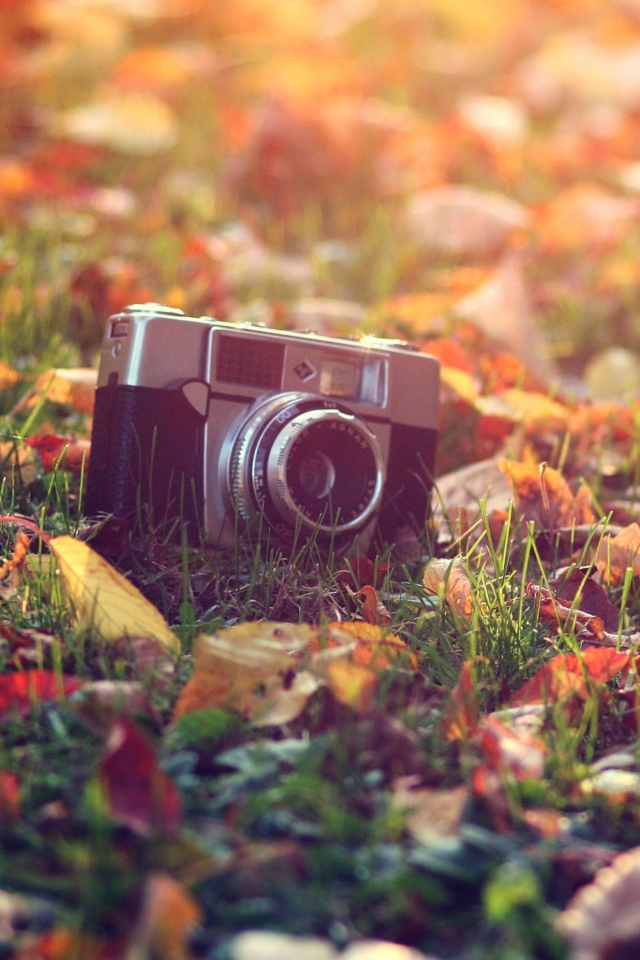 Fondo de pantalla Old Camera On Green Grass And Autumn Leaves 640x960