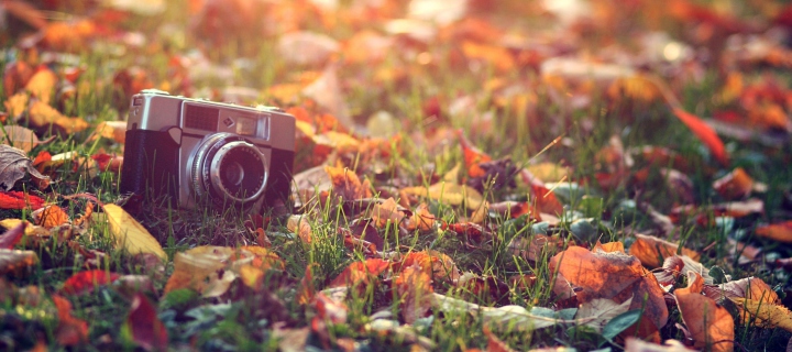 Das Old Camera On Green Grass And Autumn Leaves Wallpaper 720x320