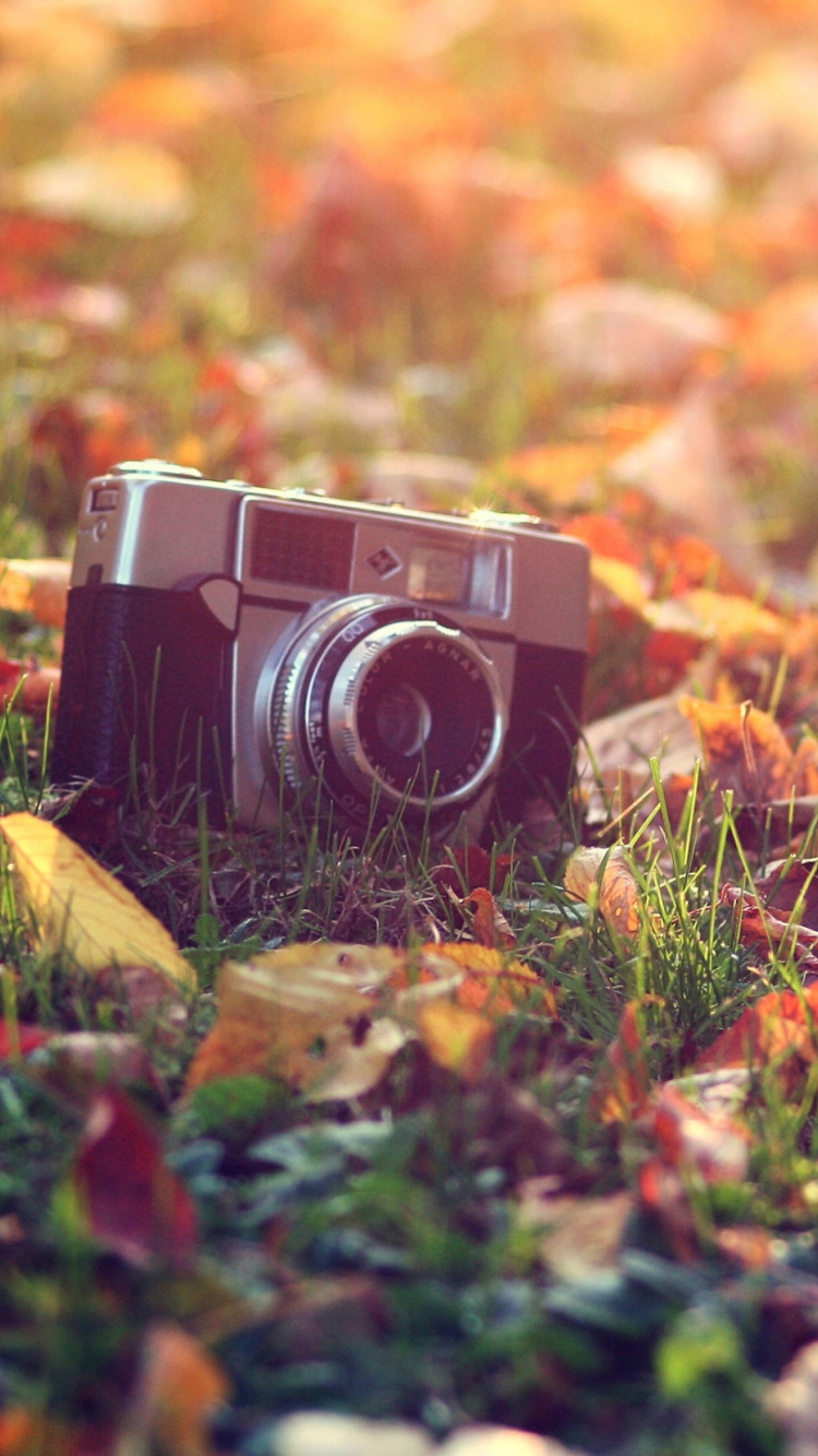 Обои Old Camera On Green Grass And Autumn Leaves 750x1334