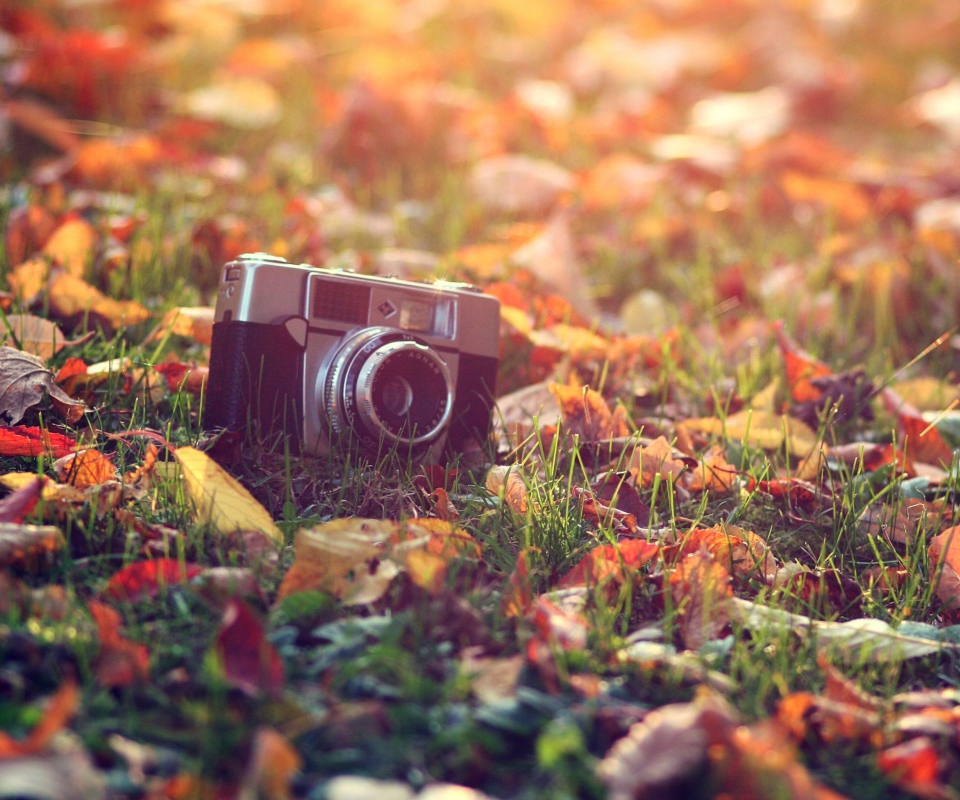 Old Camera On Green Grass And Autumn Leaves wallpaper 960x800