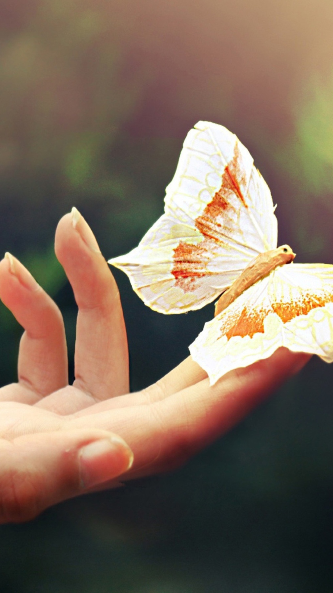 Das Butterfly In Her Hands Wallpaper 1080x1920