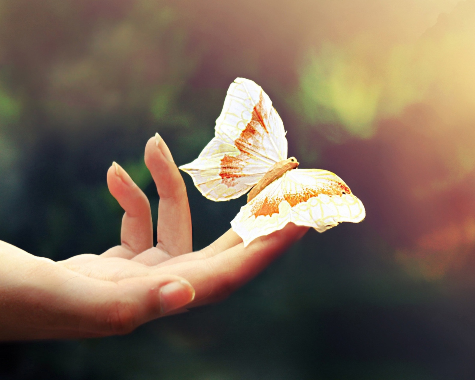 Обои Butterfly In Her Hands 1600x1280