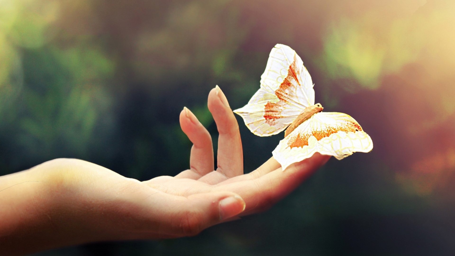Обои Butterfly In Her Hands 1920x1080
