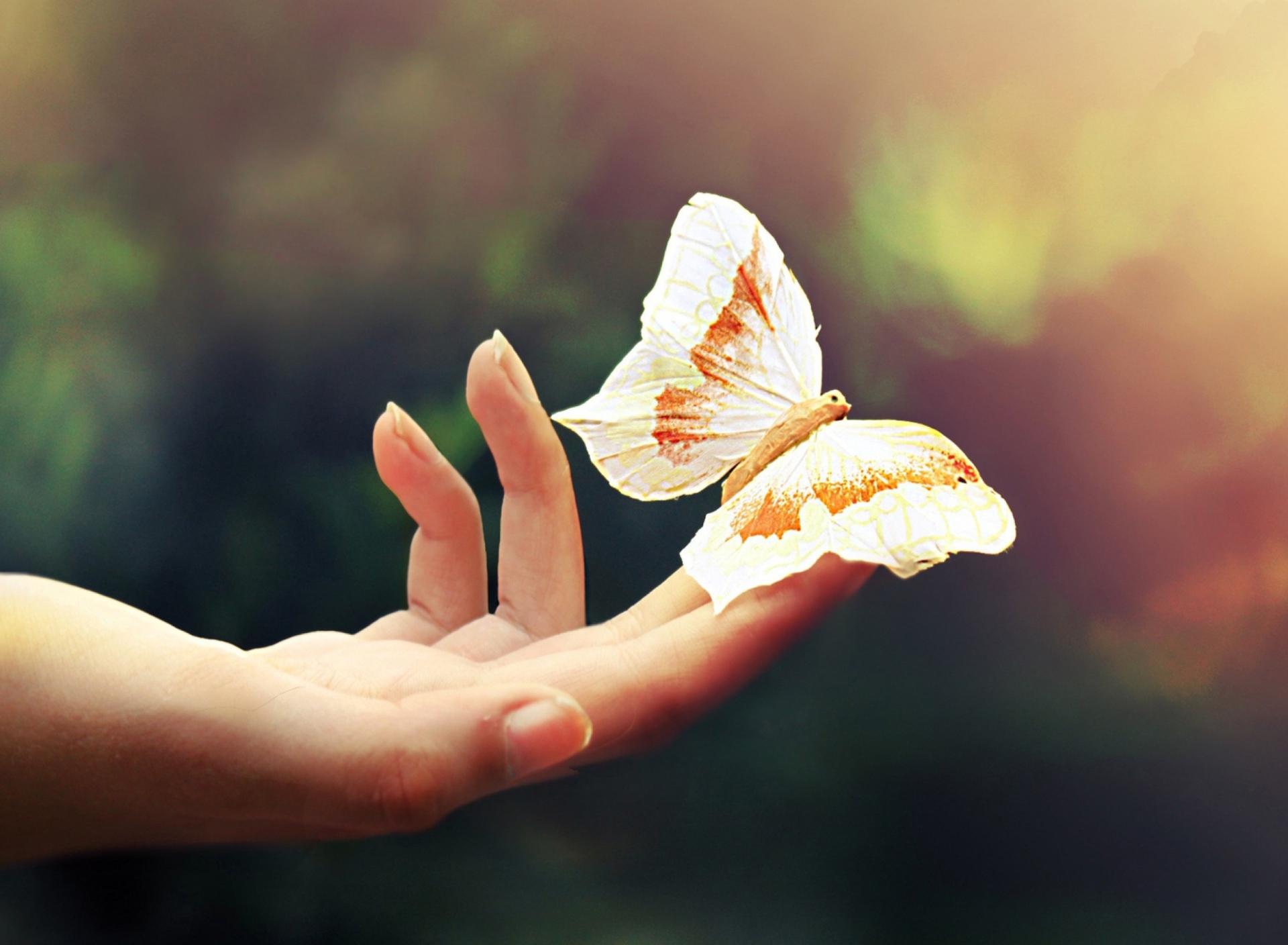 Обои Butterfly In Her Hands 1920x1408
