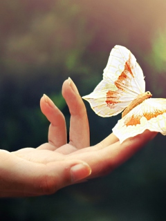 Sfondi Butterfly In Her Hands 240x320