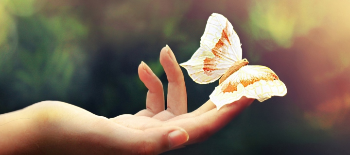 Butterfly In Her Hands wallpaper 720x320