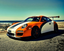 Sfondi Orange Porsche 911 220x176