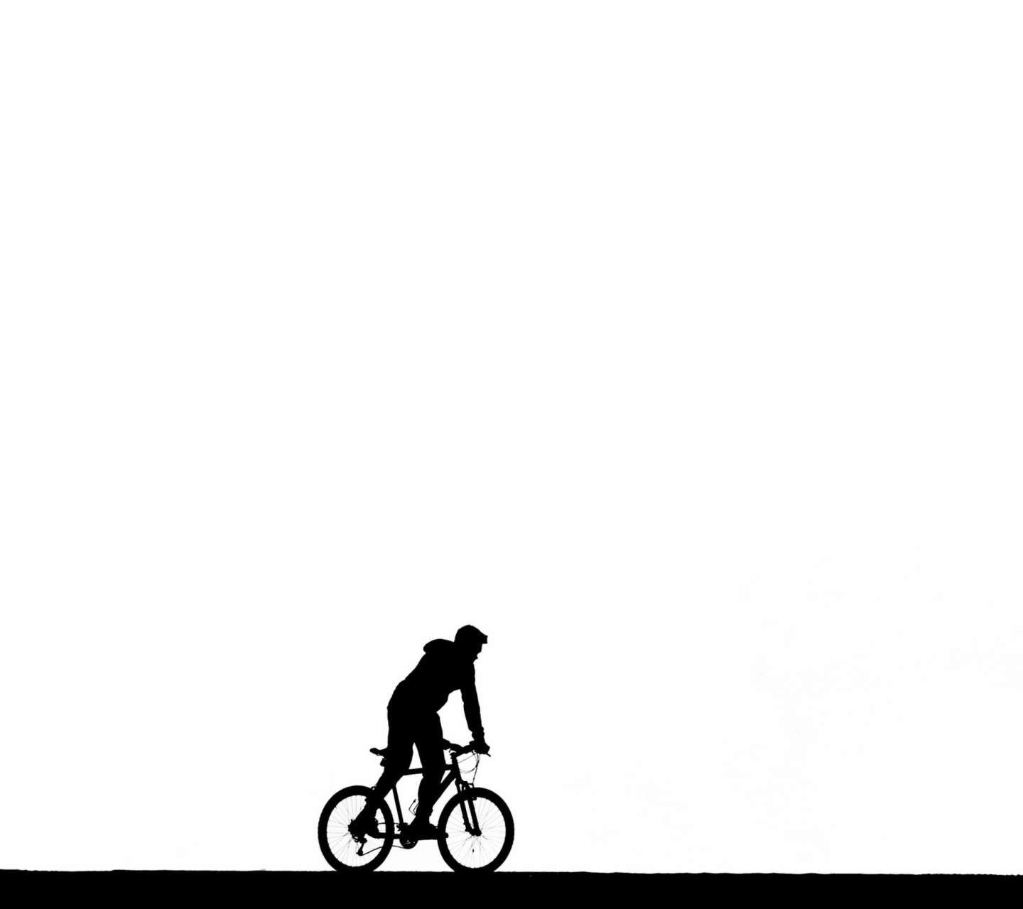 Bicycle Silhouette wallpaper 1440x1280
