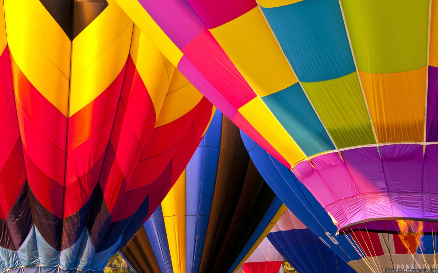 Fondo de pantalla Colorful Air Balloons 1440x900