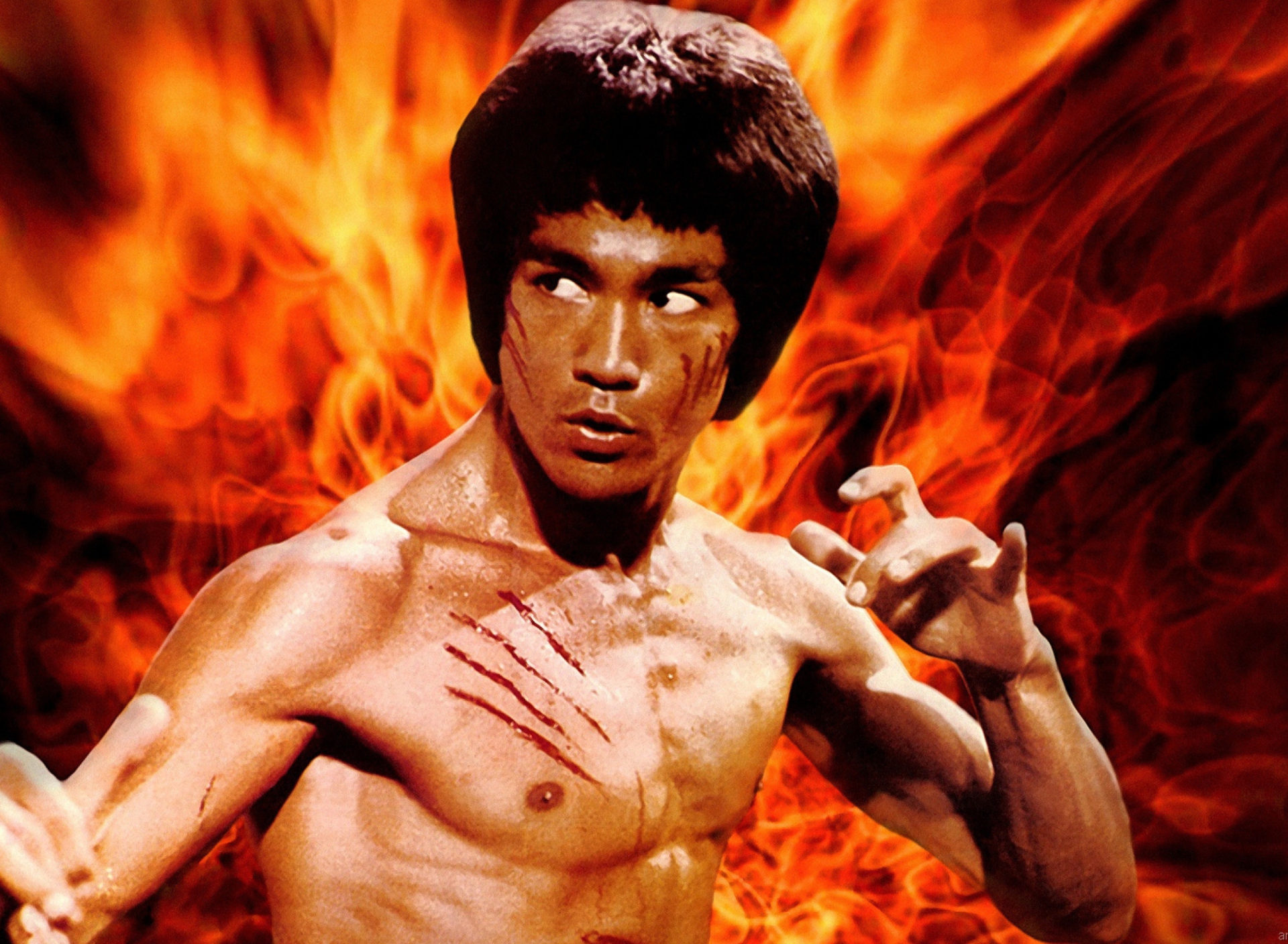 Fondo de pantalla Bruce Lee 1920x1408