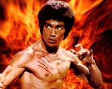Bruce Lee wallpaper 220x176