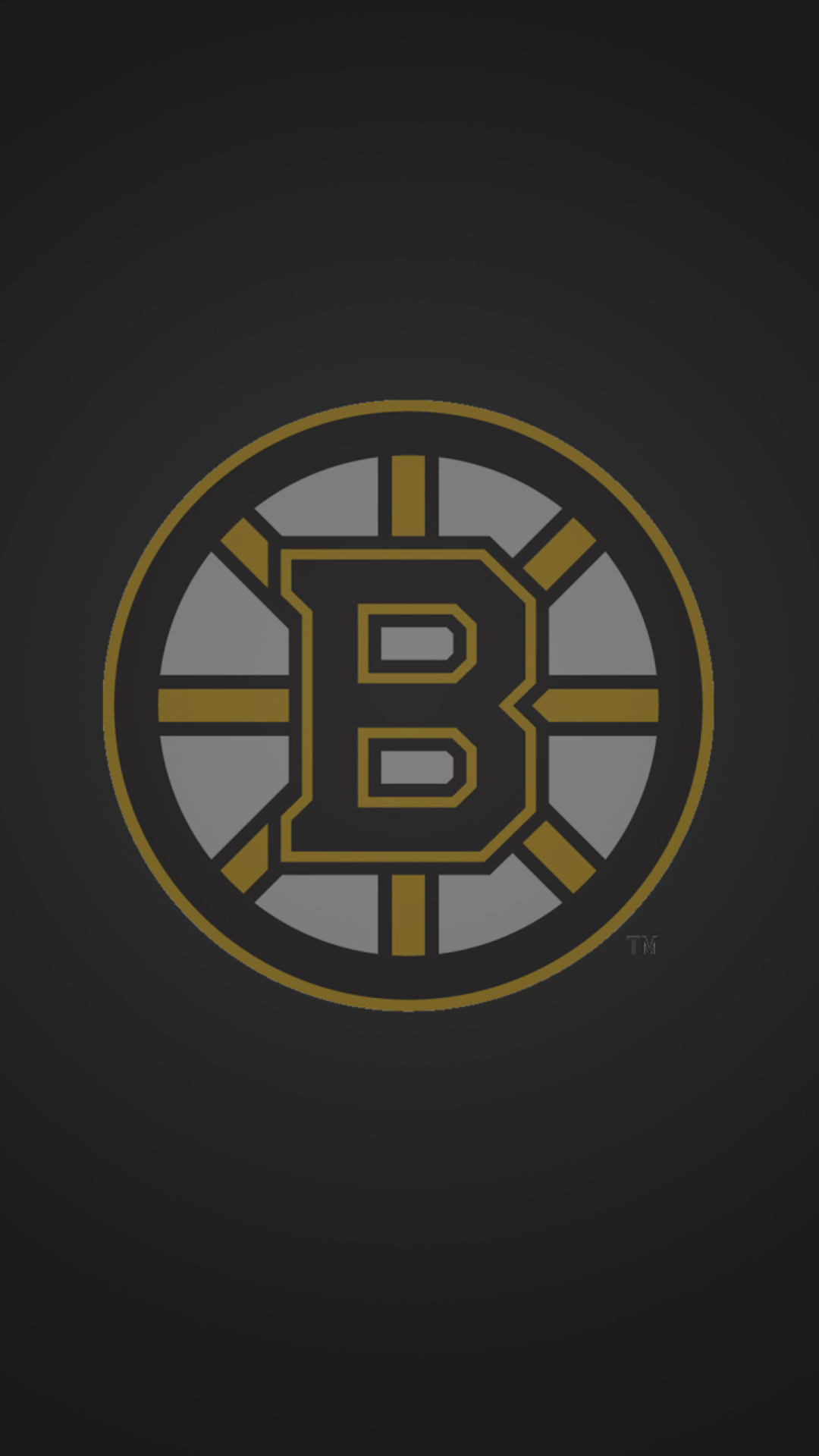 Boston Bruins Wallpaper for iPhone 6 Plus.