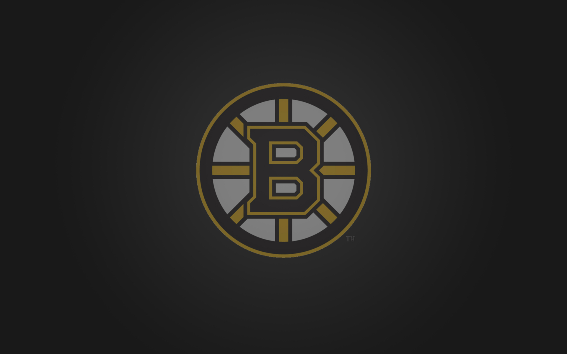 Boston Bruins wallpaper 1920x1200