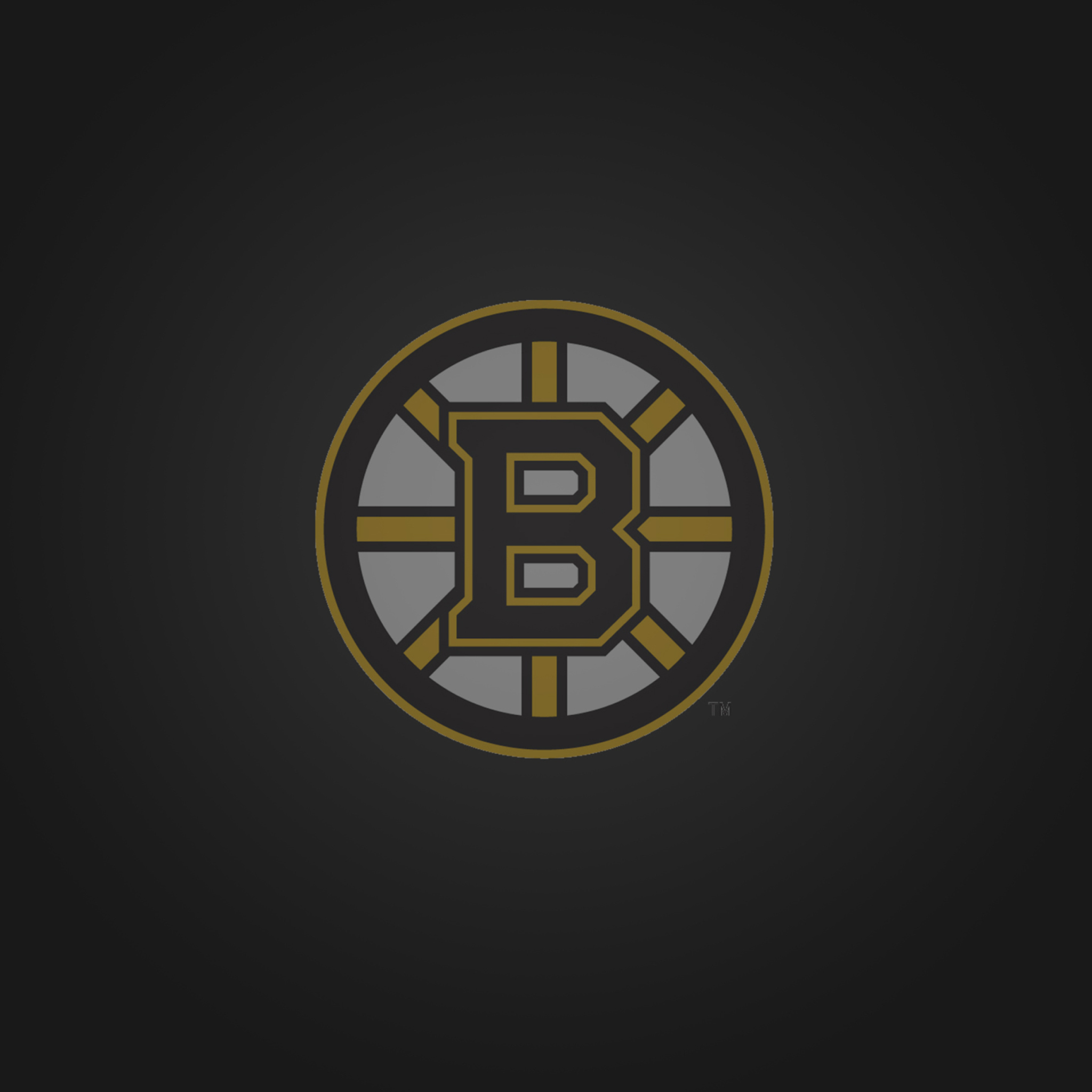 Boston Bruins wallpaper 2048x2048