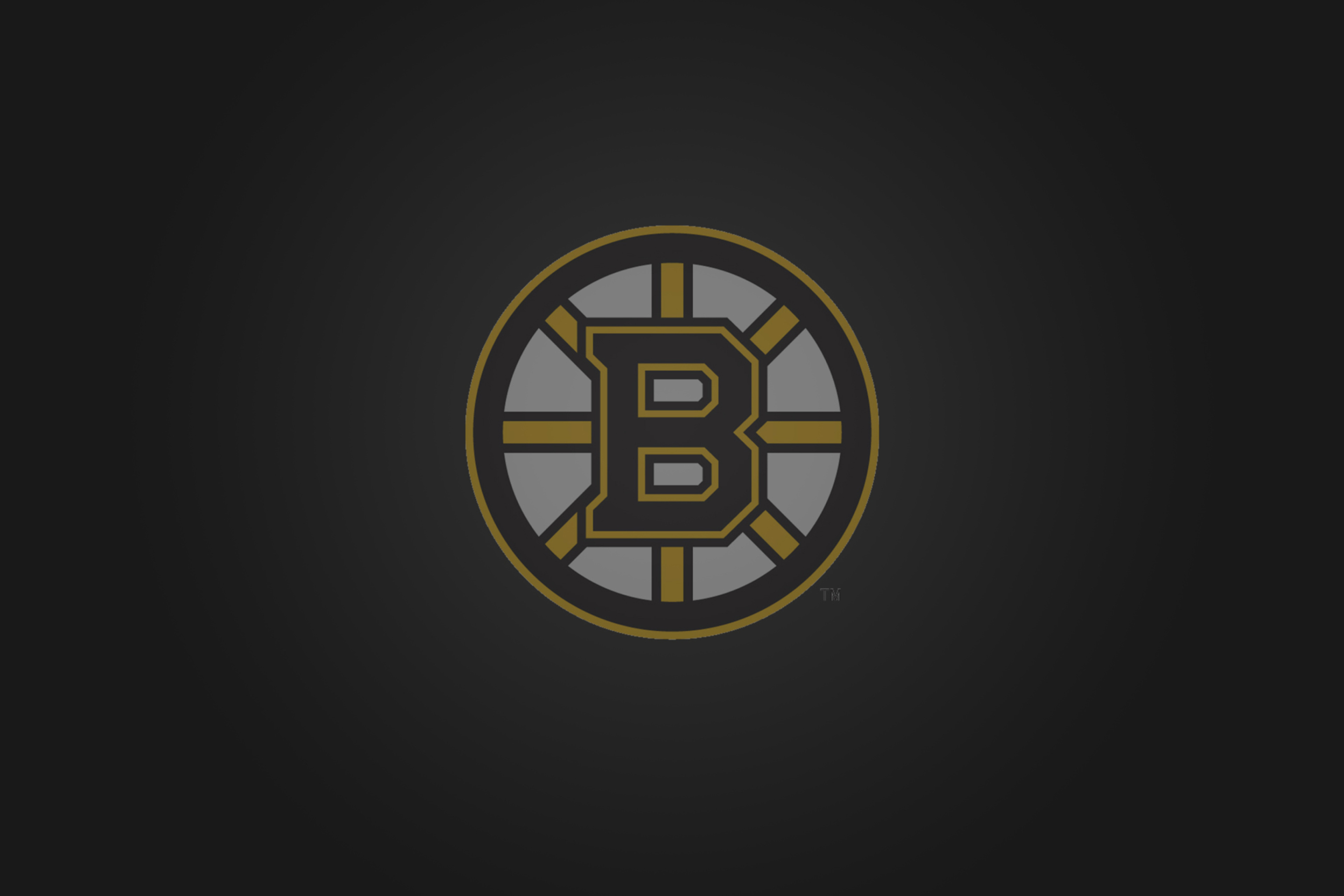 Das Boston Bruins Wallpaper 2880x1920