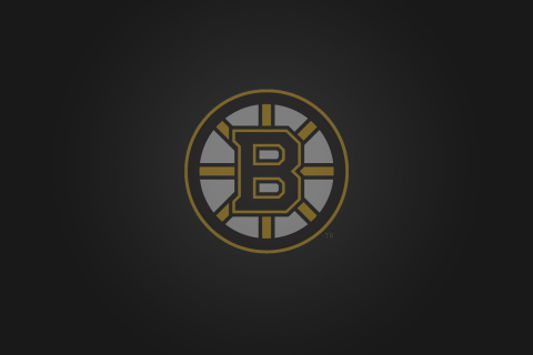 Fondo de pantalla Boston Bruins 480x320