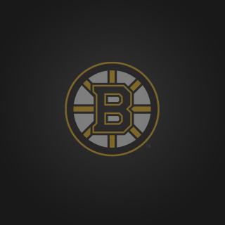 Boston Bruins - Obrázkek zdarma pro 208x208