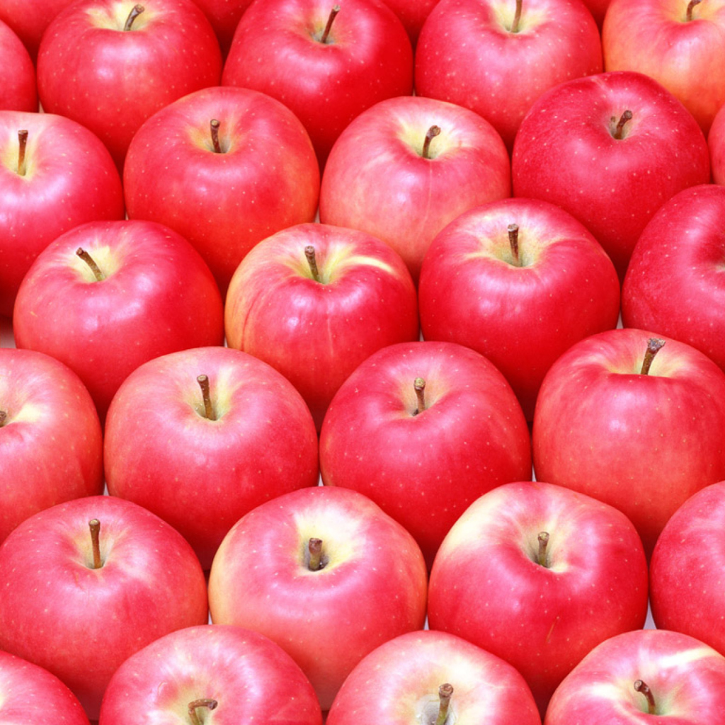 Fondo de pantalla Apples 1024x1024