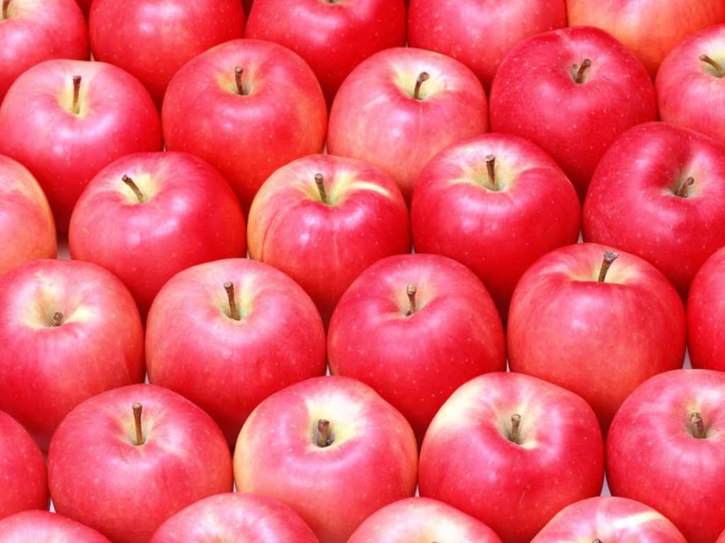 Обои Apples 1024x768