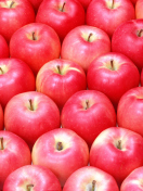 Обои Apples 132x176