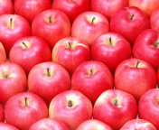 Apples wallpaper 176x144