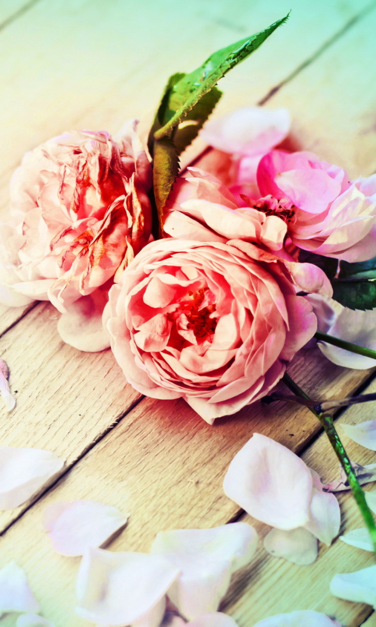 Rose Petals wallpaper 768x1280