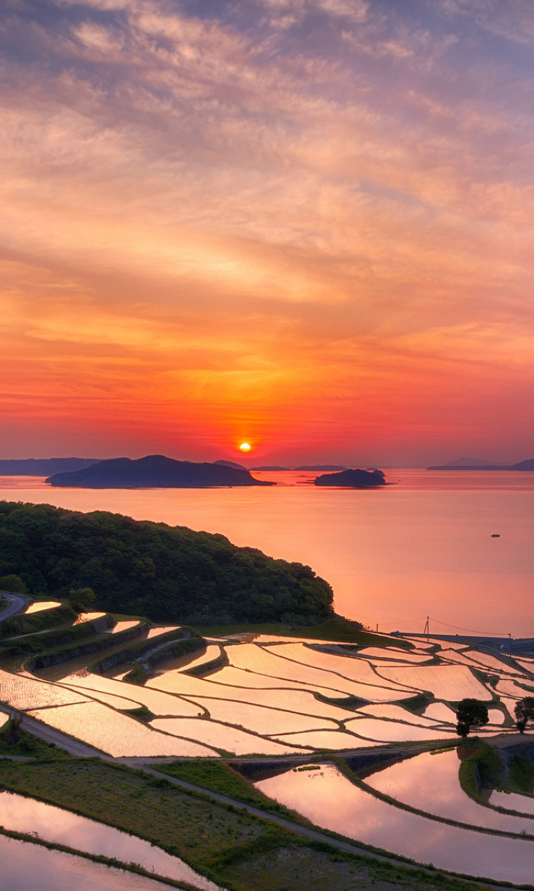 Sfondi Sunset Coast 768x1280