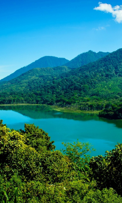 Fondo de pantalla Bali Indonesia Perasi Beach 480x800