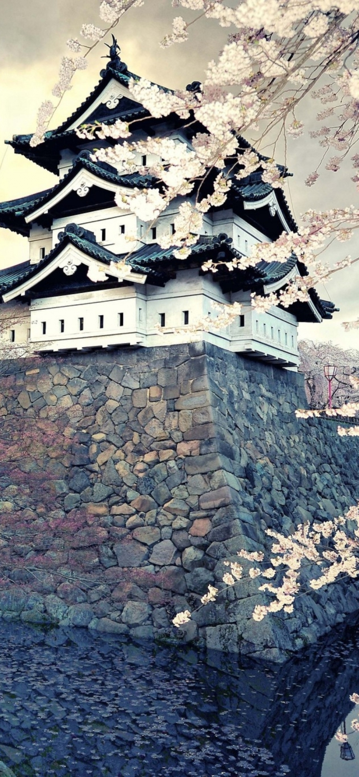 Das Hirosaki Castle Japan Wallpaper 1170x2532