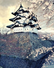 Sfondi Hirosaki Castle Japan 176x220